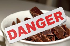 Urgencias en Halloween: el chocolate es tóxico para las mascotas
