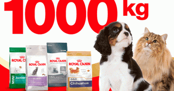 Royal Canin ha donado 1.000 kg de alimentos para perros y gatos para los más necesitados