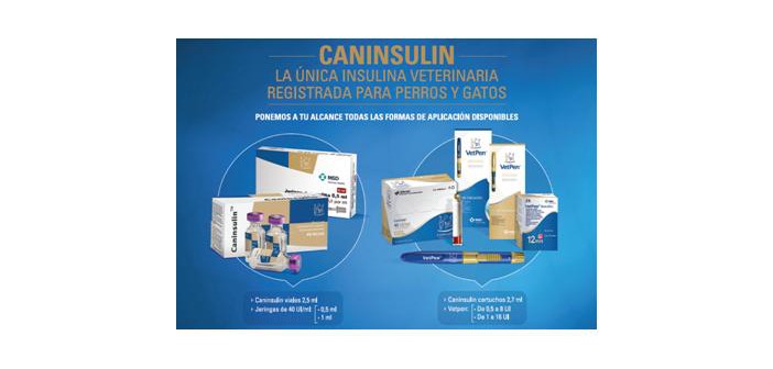 MSD caninsulin