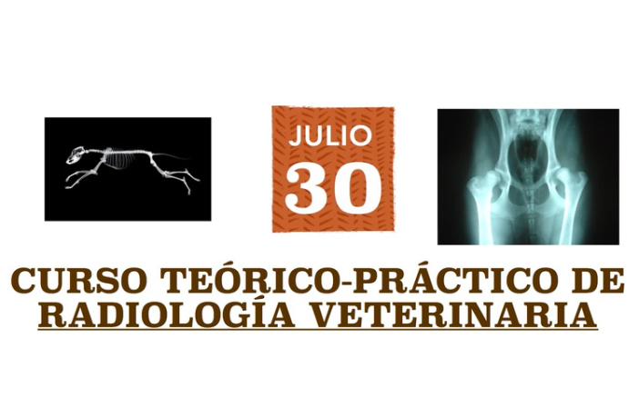 Radiología veterinaria curso teórico-práctico