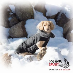 Nuevo abrigo para perros Tamarack Jacket de Gloria cabecera