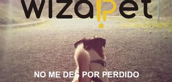 Wizapet gestiona alertas de mascotas extraviadas