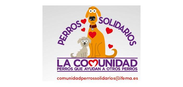 100x100 perros solidarios