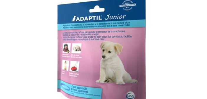 Adaptil Junior