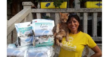 Lenda dona 3.000 kg de comida a 10 protectoras de gatos