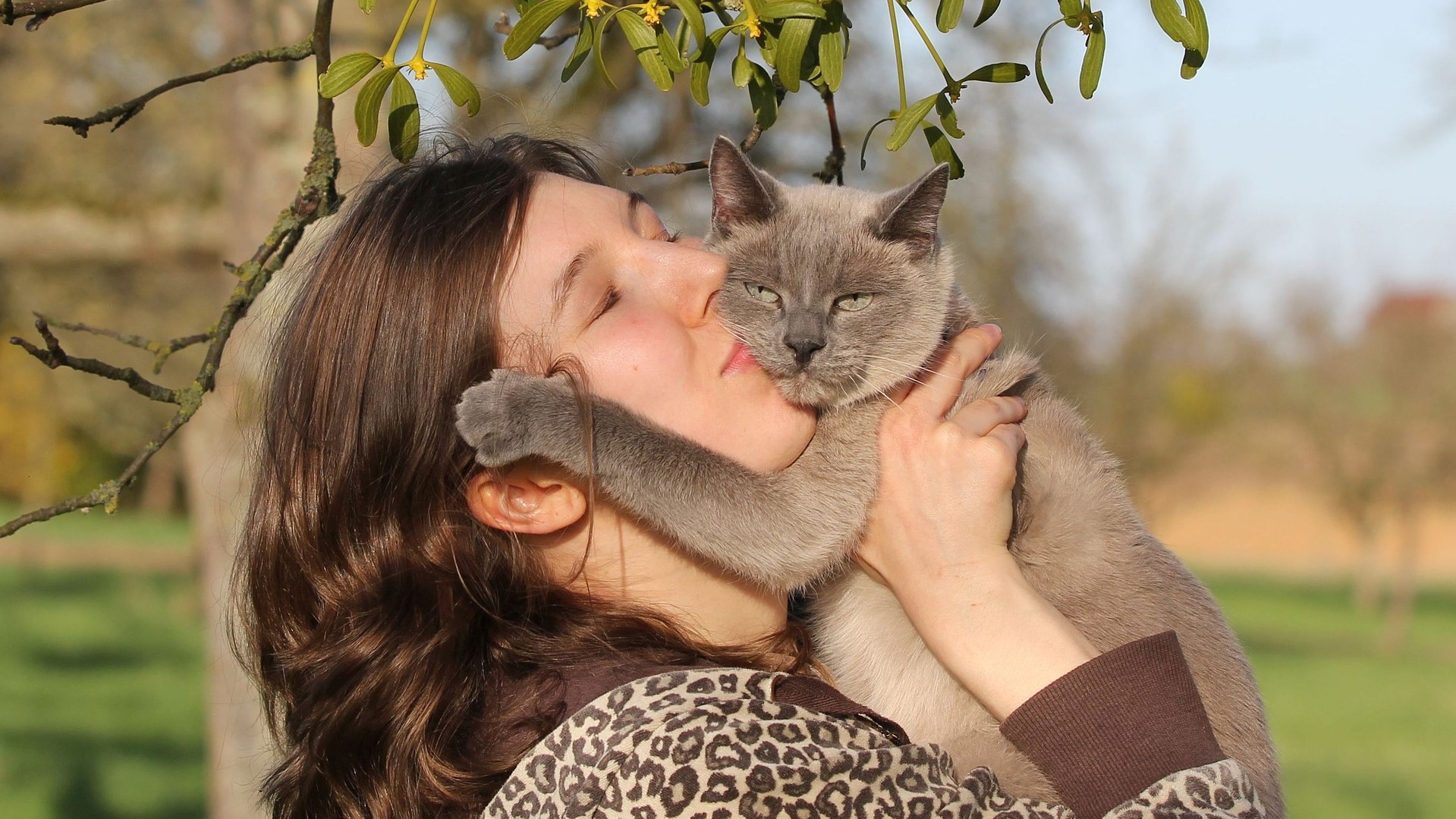 Los gatos ronronean cuando están contentos, ¿mito o realidad? - el auxiliar veterinario