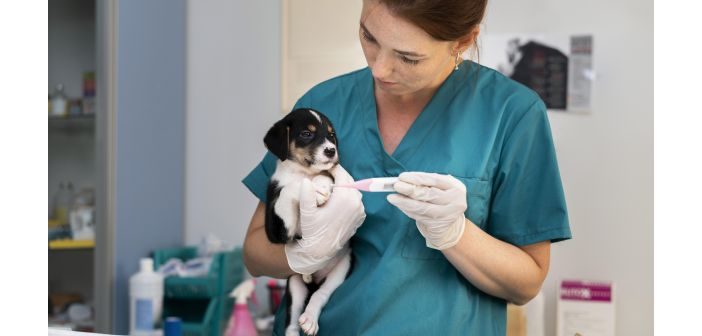 Acreditados 32 auxiliares de clínicas veterinarias en Aragón