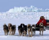 Arranca la 9ª Expedición Polar “Desafío Ártico” en Groenlandia